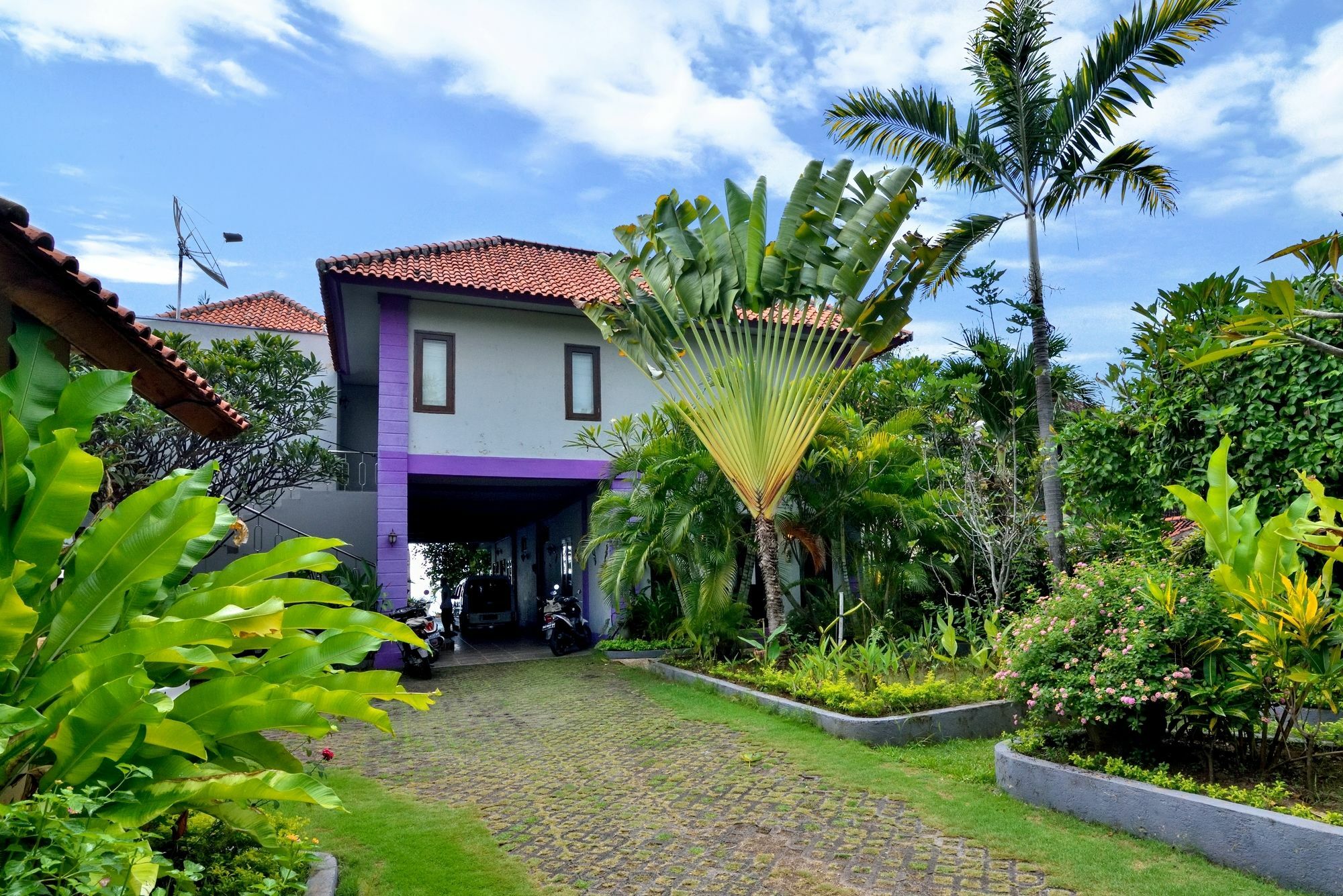 Dolphin Beach Bali Lovina Beach Extérieur photo